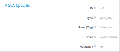 IP SLA Specific